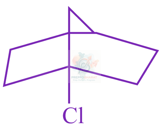 JEE Main 2022 Chemistry, Haloalkanes and Haloarenes — option C figure