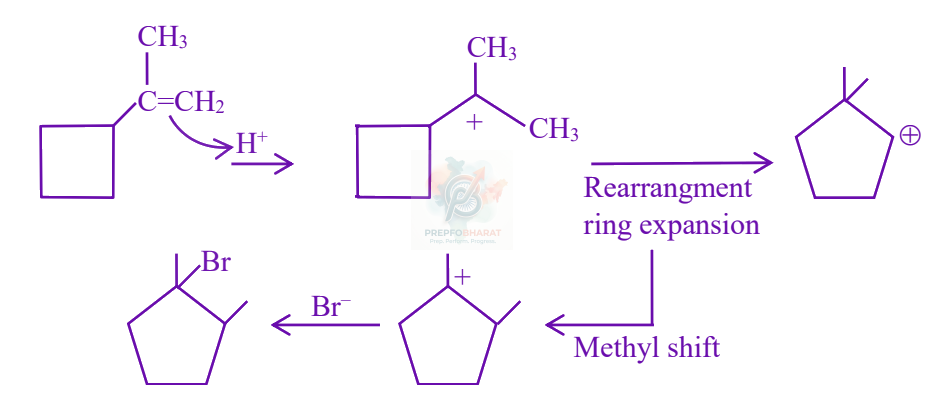 JEE Main 2023 Chemistry, Haloalkanes and Haloarenes — solution figure