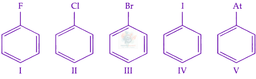 JEE Main 2024 Chemistry, Haloalkanes and Haloarenes — question figure