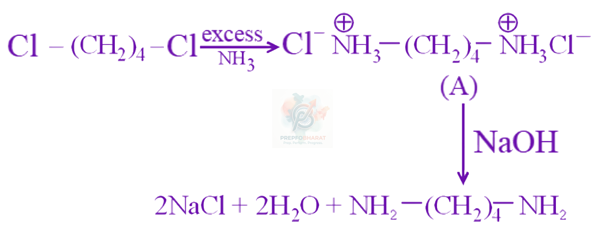 JEE Main 2024 Chemistry, Haloalkanes and Haloarenes — solution figure