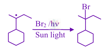 JEE Main 2025 Chemistry, Haloalkanes and Haloarenes — solution figure