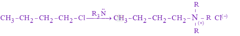 JEE Main 2025 Chemistry, Haloalkanes and Haloarenes — question figure