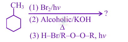 JEE Main 2025 Chemistry, Haloalkanes and Haloarenes — question figure
