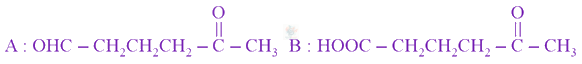 JEE Main 2021 Chemistry, Hydrocarbons — option D figure