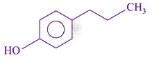 JEE Main 2021 Chemistry, Hydrocarbons — option B figure