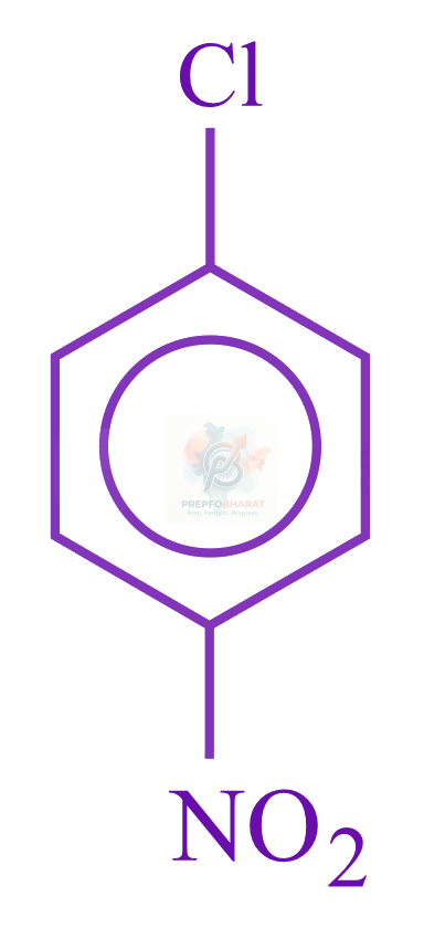 JEE Main 2023 Chemistry, Hydrocarbons — option A figure