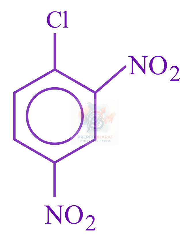 JEE Main 2023 Chemistry, Hydrocarbons — option B figure