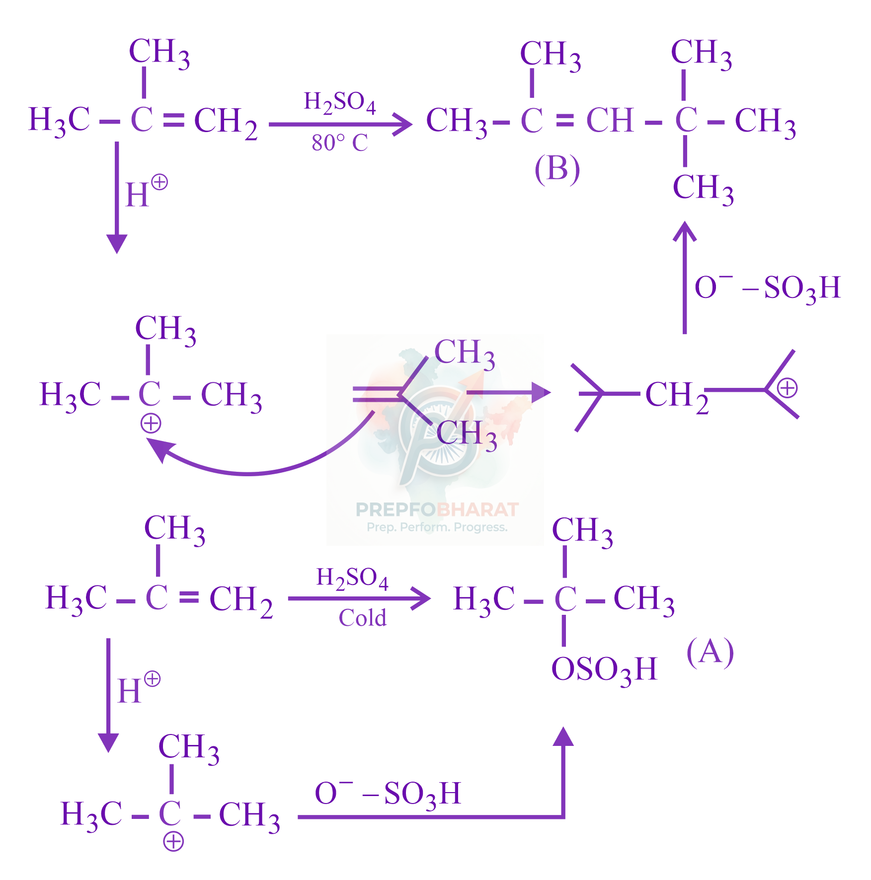 JEE Main 2023 Chemistry, Hydrocarbons — solution figure