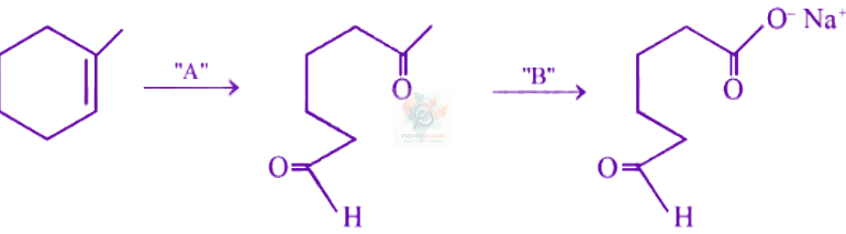 JEE Main 2024 Chemistry, Hydrocarbons — question figure