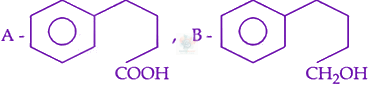 JEE Main 2024 Chemistry, Hydrocarbons — option B figure