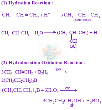 JEE Main 2024 Chemistry, Hydrocarbons — solution figure