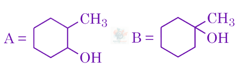 JEE Main 2024 Chemistry, Hydrocarbons — option D figure