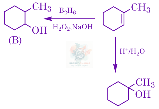 JEE Main 2024 Chemistry, Hydrocarbons — solution figure