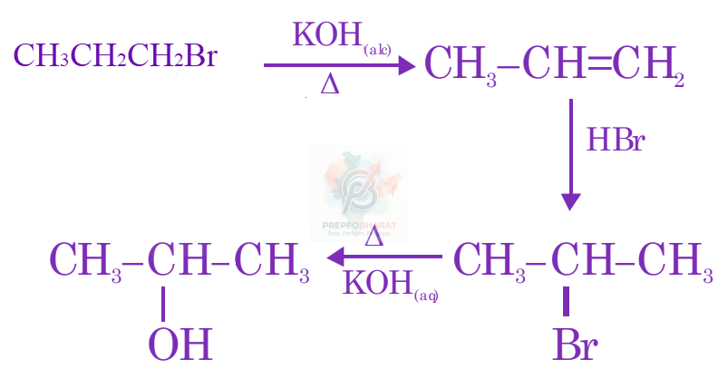 JEE Main 2024 Chemistry, Hydrocarbons — solution figure