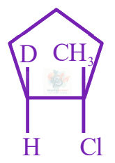 JEE Main 2024 Chemistry, Hydrocarbons — option C figure