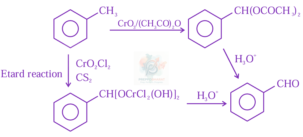 JEE Main 2024 Chemistry, Hydrocarbons — solution figure