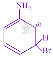 JEE Main 2024 Chemistry, Hydrocarbons — option C figure