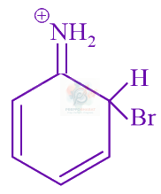 JEE Main 2024 Chemistry, Hydrocarbons — option D figure