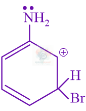 JEE Main 2024 Chemistry, Hydrocarbons — solution figure