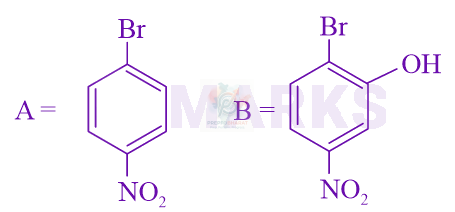 JEE Main 2024 Chemistry, Hydrocarbons — option B figure