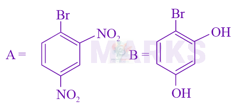JEE Main 2024 Chemistry, Hydrocarbons — option C figure