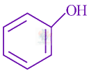 JEE Main 2024 Chemistry, Hydrocarbons — option D figure