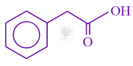JEE Main 2024 Chemistry, Hydrocarbons — option C figure