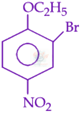 JEE Main 2025 Chemistry, Hydrocarbons — option D figure