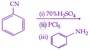 JEE Main 2025 Chemistry, Hydrocarbons — option B figure