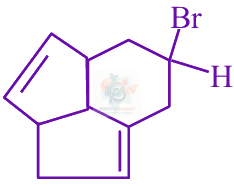 JEE Main 2025 Chemistry, Hydrocarbons — option D figure