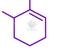 JEE Main 2025 Chemistry, Hydrocarbons — option D figure