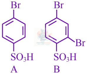 JEE Main 2025 Chemistry, Hydrocarbons — option D figure