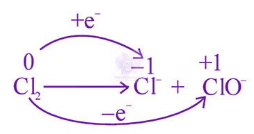JEE Main 2024 Chemistry, Redox Reactions — solution figure