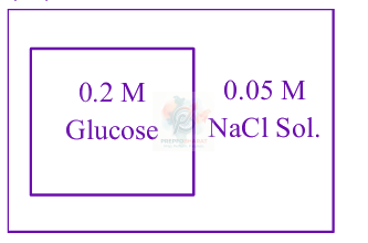 JEE Main 2024 Chemistry, Solutions — solution figure