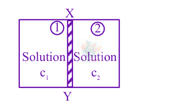 JEE Main 2025 Chemistry, Solutions — question figure