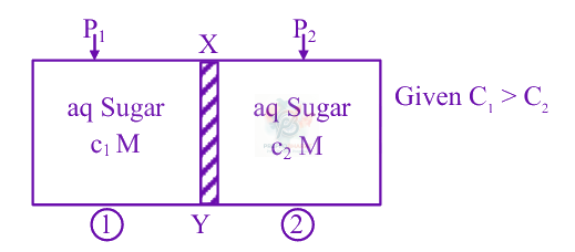 JEE Main 2025 Chemistry, Solutions — solution figure