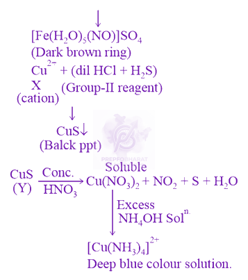 JEE Main 2021 Chemistry, Some Basic Concepts of Chemistry — solution figure 3