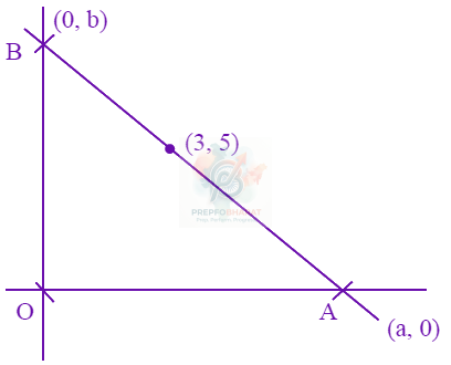 JEE Main 2024 Mathematics, Application of Derivatives — solution figure