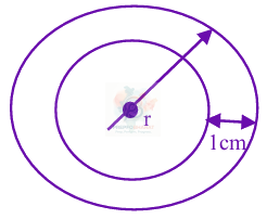 JEE Main 2025 Mathematics, Application of Derivatives — solution figure