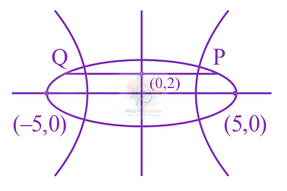 JEE Main 2024 Mathematics, Hyperbola — solution figure