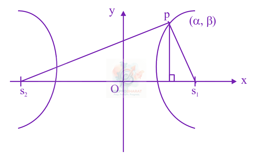 JEE Main 2024 Mathematics, Hyperbola — solution figure