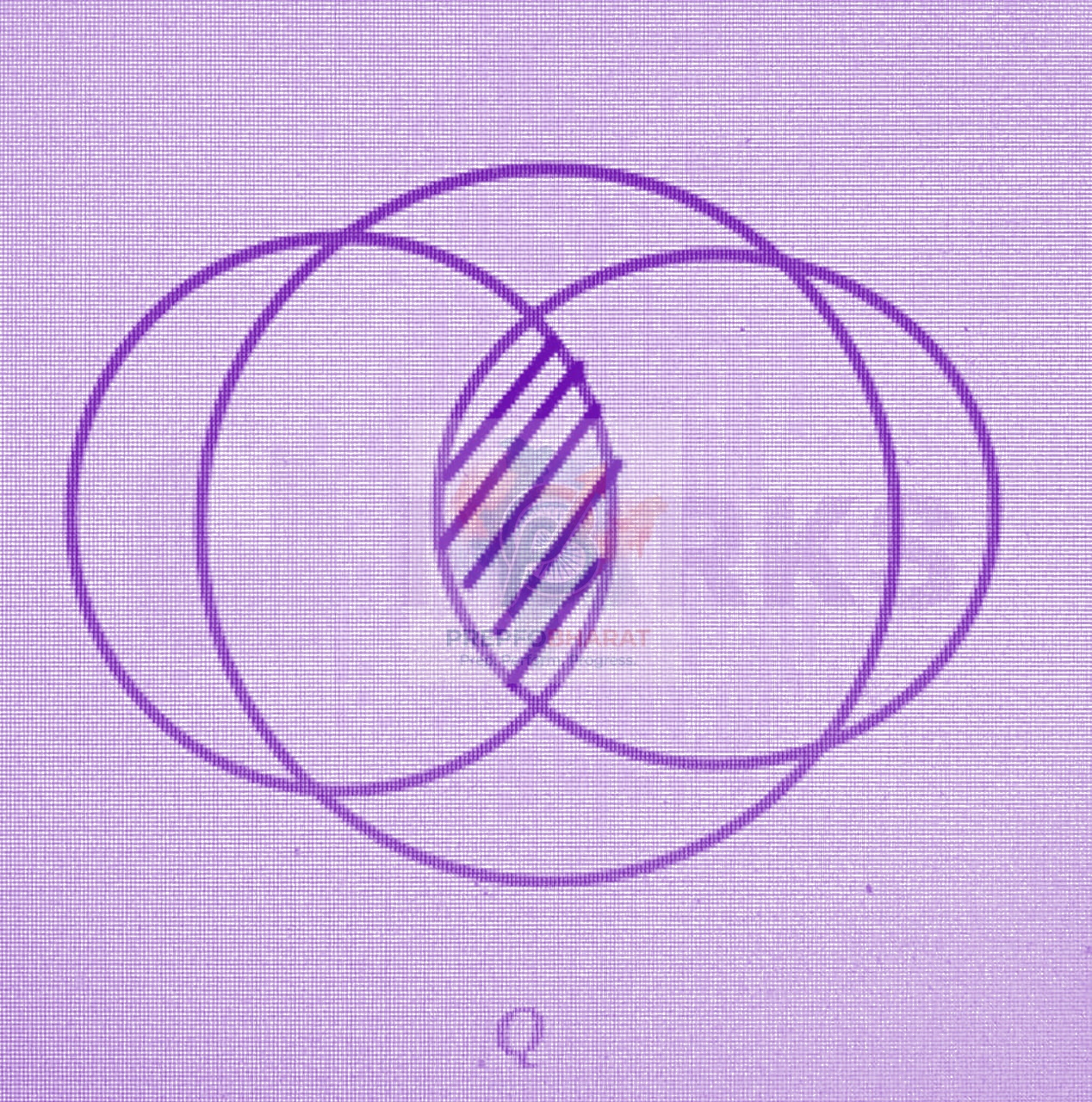 JEE Main 2021 Mathematics, Sets and Relations — solution figure 2