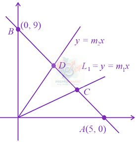 JEE Main 2023 Mathematics, Straight Lines — solution figure