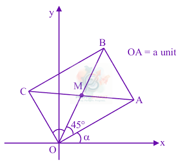 JEE Main 2025 Mathematics, Straight Lines — solution figure