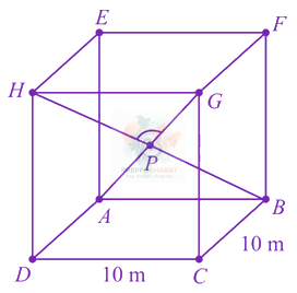 JEE Main 2021 Mathematics, Vector Algebra — question figure