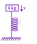 JEE Main 2019 Physics, Center of Mass Momentum and Collision — solution figure