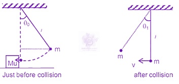 JEE Main 2019 Physics, Center of Mass Momentum and Collision — solution figure