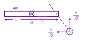 JEE Main 2020 Physics, Center of Mass Momentum and Collision — solution figure