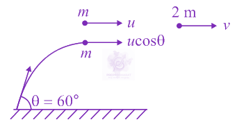JEE Main 2020 Physics, Center of Mass Momentum and Collision — solution figure