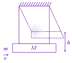 JEE Main 2021 Physics, Center of Mass Momentum and Collision — question figure